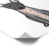 Poster American Hairless Terrier (Coin)