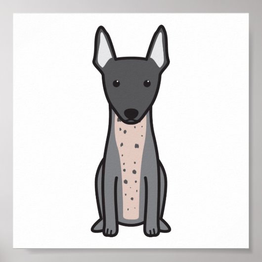 Poster American Hairless Terrier (Devant)