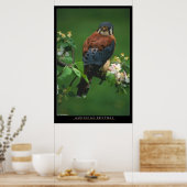 Poster American Kestral (Cuisine)