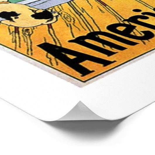 Poster American Line (Coin)