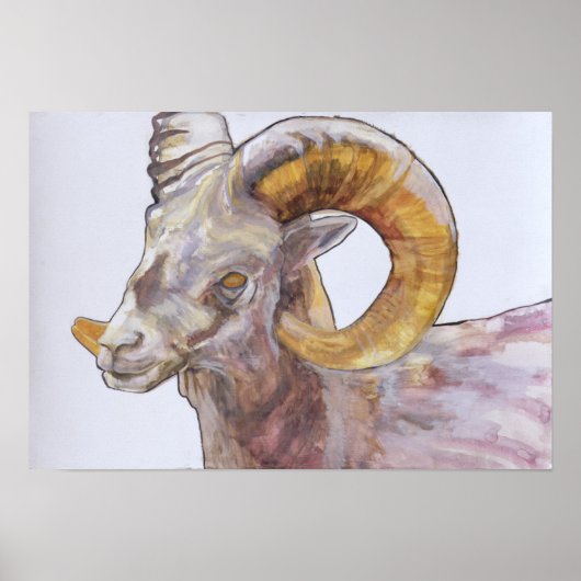 Poster American Long Horn 2004 (Devant)