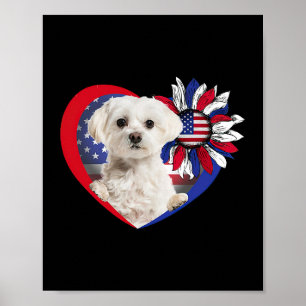 Poster American Maltese Chien Heart 4 juillet USA Drapeau