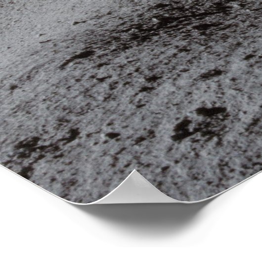 Poster American Moon Walk (Coin)