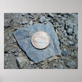 Poster American Penny (Front) 1980