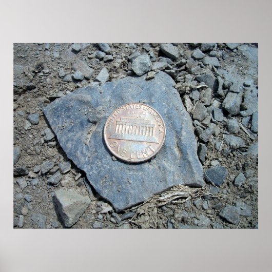 Poster American Penny (Front) 1980 (Devant)
