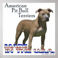 Poster American Pit Bull Terrier (APBT)