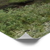 Poster American River à Sacramento, CA Imprimer (Coin)