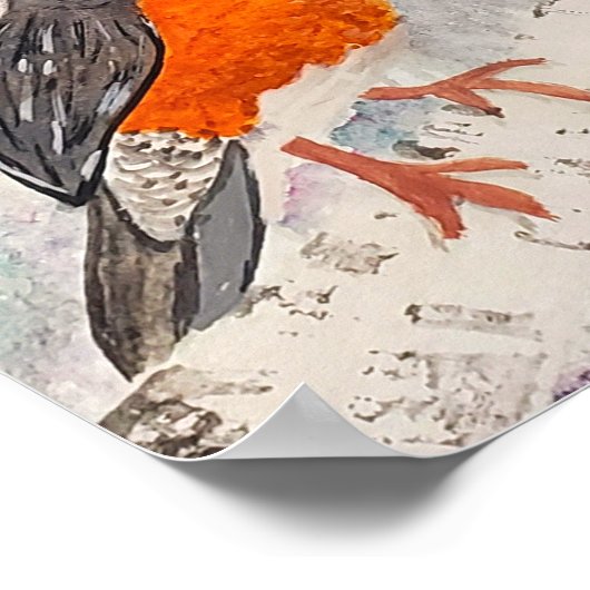 Poster American Robin (Coin)