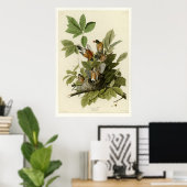 Poster American Robin (Bureau à domicile)