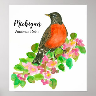 Poster American Robin Apple Blossom Michigan