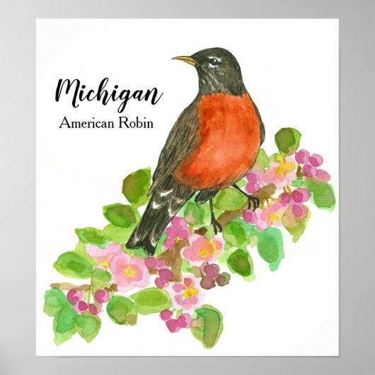 Poster American Robin Apple Blossom Michigan (Devant)