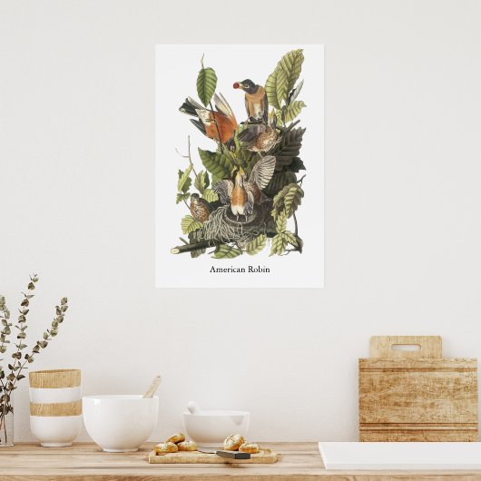 Poster American Robin, John Audubon Imprimer (Cuisine)