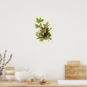 Poster American Robin John James Audubon Oiseaux d'Amériq (Cuisine)