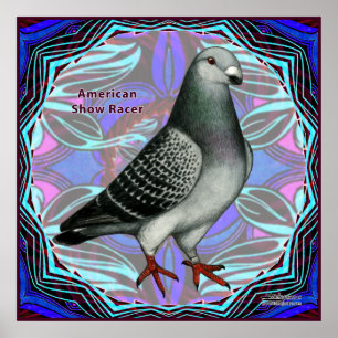 Poster American Show Racer