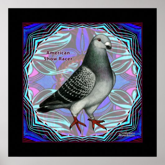 Poster American Show Racer (Devant)