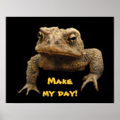 Poster American Toad (Devant)