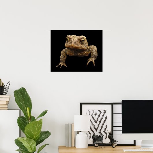 Poster American Toad (Bureau à domicile)