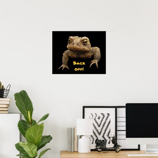 Poster American Toad (Bureau à domicile)