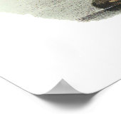 Poster American Wigeon, John Audubon (Coin)