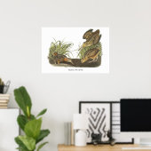 Poster American Woodcock, John Audubon Imprimer (Bureau à domicile)