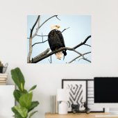 Poster Amerikaanse Bald Eagle (Thuiskantoor)