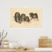 Poster Amérindiens de Californie (0685A) (Cuisine)