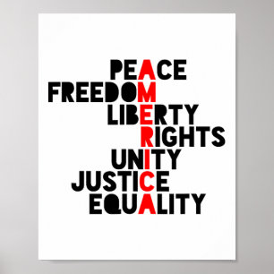 Poster Amérique anti-Trump Signification1