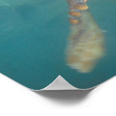 Poster Amérique centrale, Panama, Bocas Del Torro (Coin)