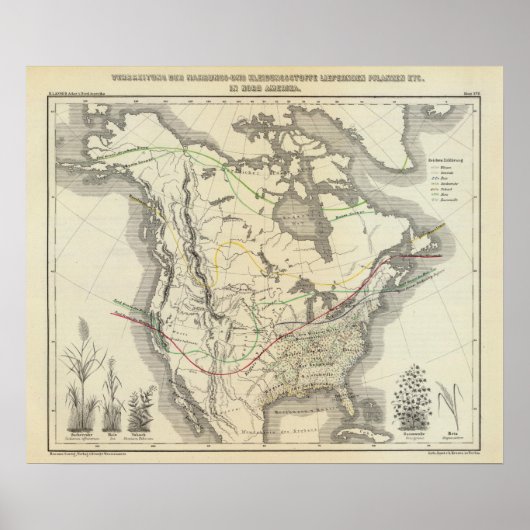 Poster Amérique du Nord 13 (Devant)