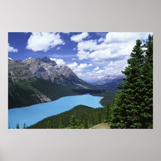 Poster Amérique du Nord, Canada, Alberta, Jasper 6 (Devant)