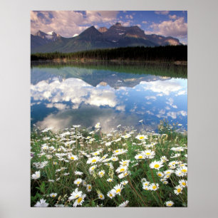 Poster Amérique du Nord, Canada, Alberta, Parc national d