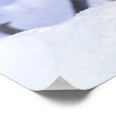 Poster Amérique du Nord, Canada, Est du Canada, Loup gris (Coin)