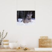 Poster Amérique du Nord, Canada, Est du Canada, Loup gris (Cuisine)