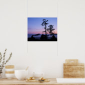 Poster Amérique du Nord, Canada, île de Vancouver, arbres (Cuisine)