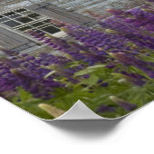 Poster Amérique du Nord, Canada, Île-du-Prince-Édouard (Coin)