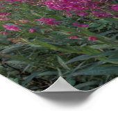 Poster Amérique du Nord, Canada, Yukon. Capteurs abandonn (Coin)