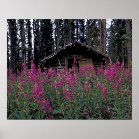 Poster Amérique du Nord, Canada, Yukon. Capteurs abandonn (Devant)