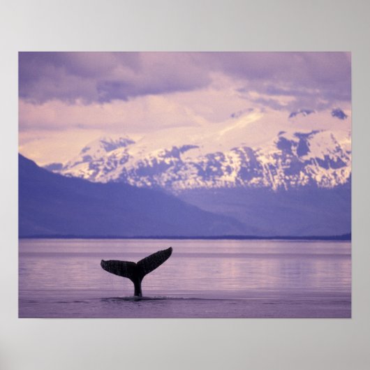 Poster Amérique du Nord, États-Unis, Alaska, Passage inté (Devant)