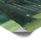 Poster Amérique du Nord, États-Unis, Géorgie, Savannah, (Coin)