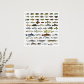 Poster Amérique du Nord Groupe de poissons d'eau douce (Cuisine)