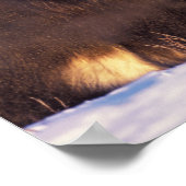 Poster Amérique du Nord, USA, Alaska, Arctic Circle, (Coin)