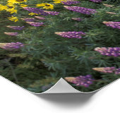 Poster Amérique du Nord, USA, Oregon, Columbia River (Coin)