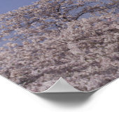 Poster Amérique du Nord, USA, Washington D.C.. Washington (Coin)