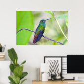 Poster Amérique du Sud, Costa Rica, Sarapiqui, La Selva (Bureau à domicile)