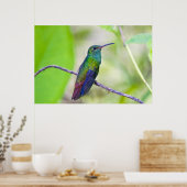 Poster Amérique du Sud, Costa Rica, Sarapiqui, La Selva (Cuisine)