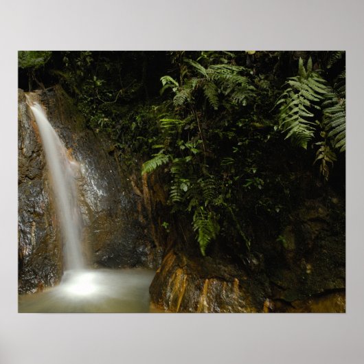 Poster Amérique du Sud, Equateur, versant est de (Devant)