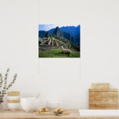 Poster Amérique du Sud, Pérou. Un lama se repose sur une (Cuisine)
