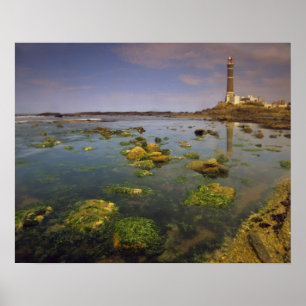 Poster Amérique du Sud, Uruguay, Punta Jose Ignacio,