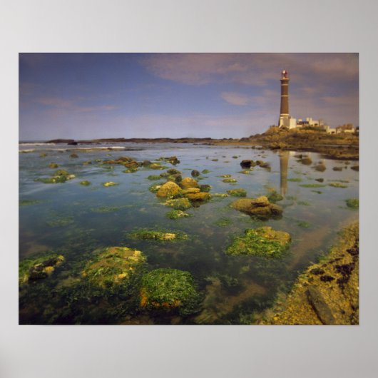 Poster Amérique du Sud, Uruguay, Punta Jose Ignacio, (Devant)