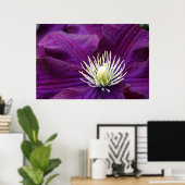 Poster Amethyst Clematis (Bureau à domicile)